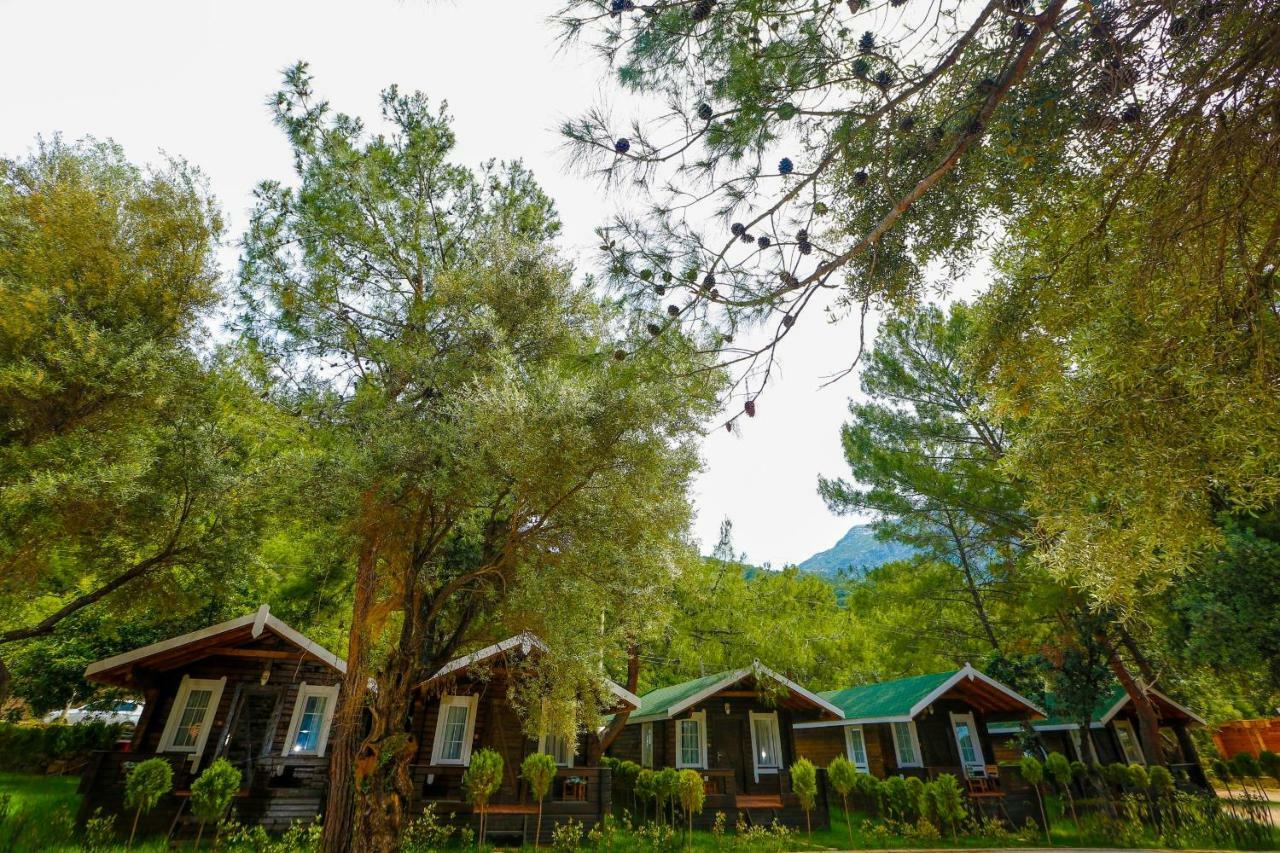 Green Pine Beach & Bungallows 希萨勒尼 外观 照片